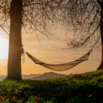 Wholehearted and Finite: Teaching Effectively within a Theology of Limits and Calling, Part 2 Hammock suspended between two trees